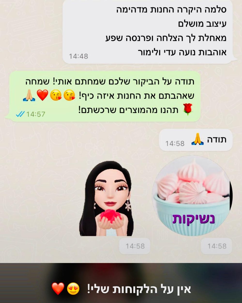 המלצה 2