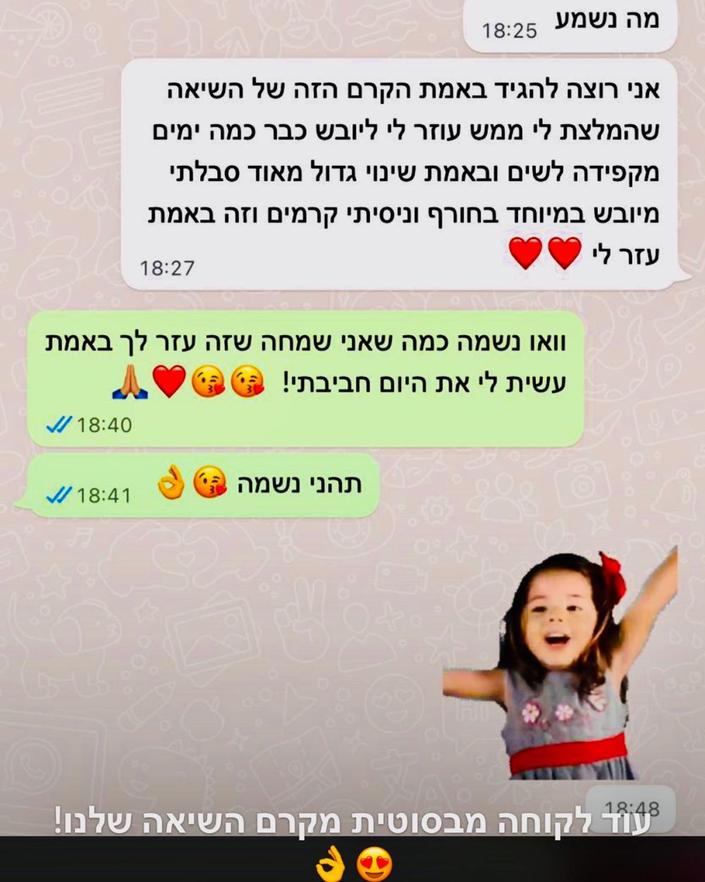 המלצה